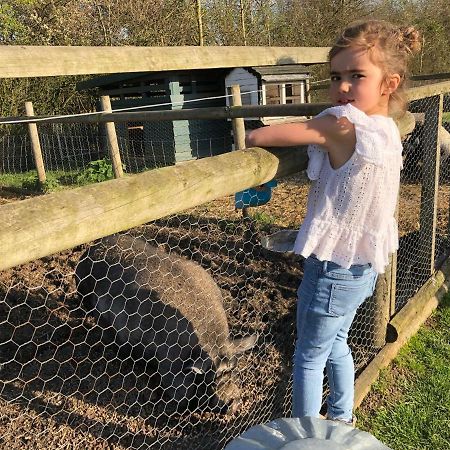 Willow Court Farm Studio East & Petting Farm, 8 Mins To Legoland & Windsor, 15 Mins To Lapland Uk Dış mekan fotoğraf