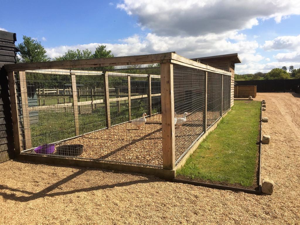 Willow Court Farm Studio East & Petting Farm, 8 Mins To Legoland & Windsor, 15 Mins To Lapland Uk Dış mekan fotoğraf