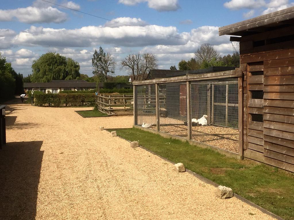 Willow Court Farm Studio East & Petting Farm, 8 Mins To Legoland & Windsor, 15 Mins To Lapland Uk Dış mekan fotoğraf