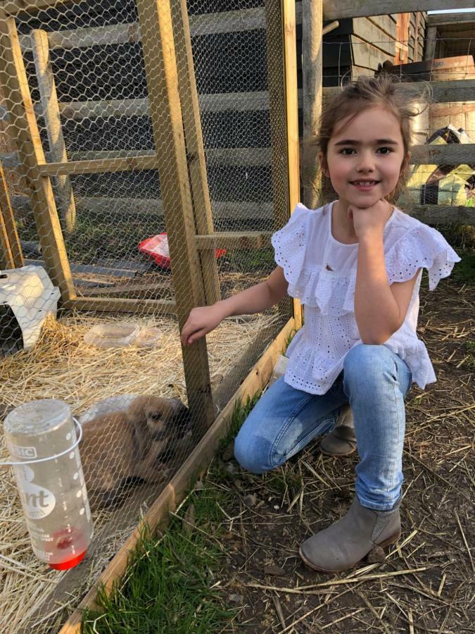 Willow Court Farm Studio East & Petting Farm, 8 Mins To Legoland & Windsor, 15 Mins To Lapland Uk Dış mekan fotoğraf