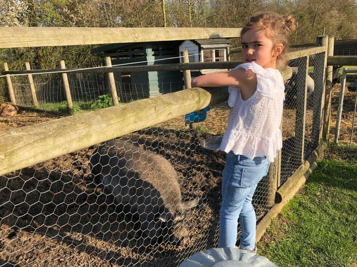 Willow Court Farm Studio East & Petting Farm, 8 Mins To Legoland & Windsor, 15 Mins To Lapland Uk Dış mekan fotoğraf