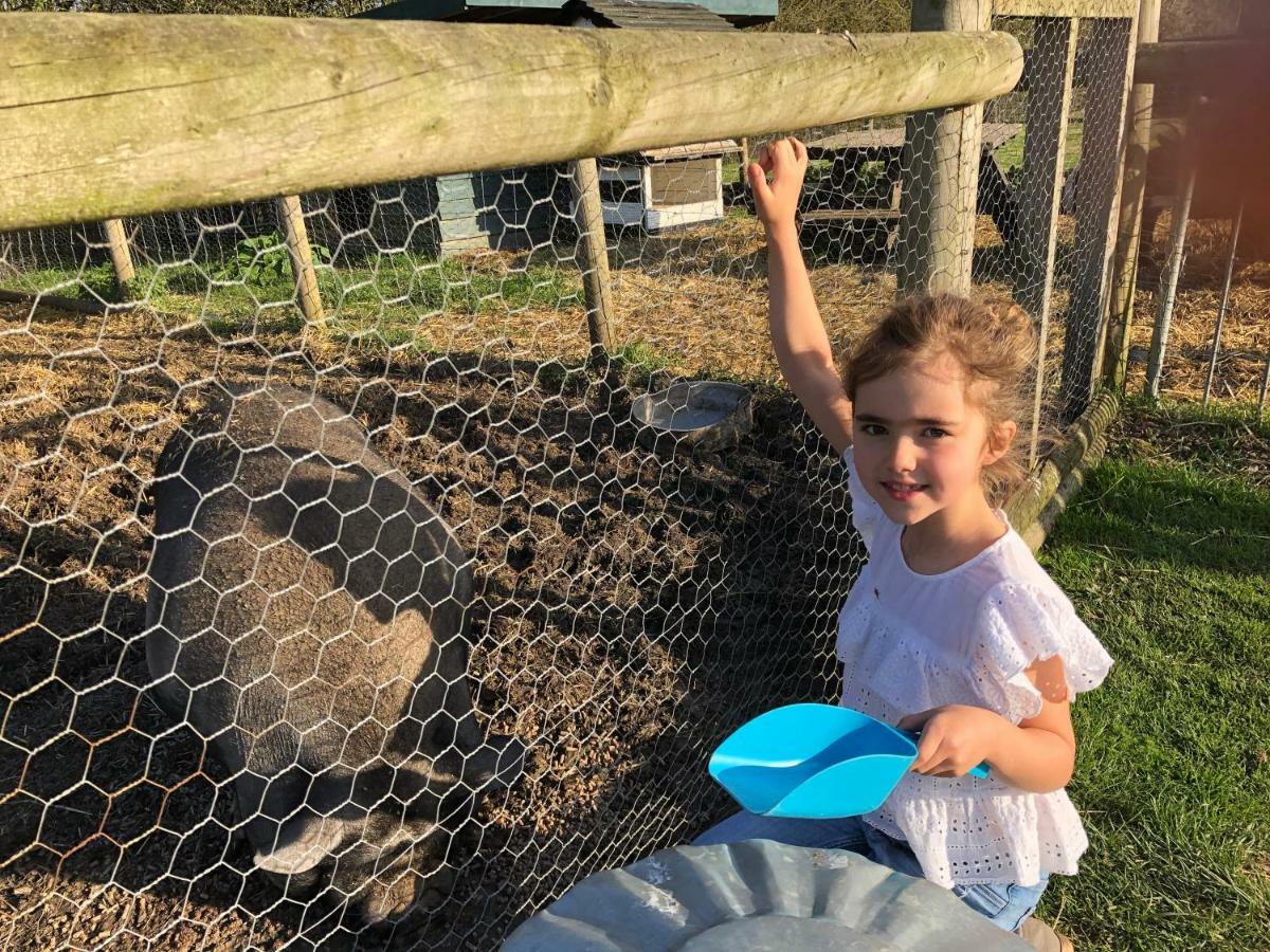 Willow Court Farm Studio East & Petting Farm, 8 Mins To Legoland & Windsor, 15 Mins To Lapland Uk Dış mekan fotoğraf